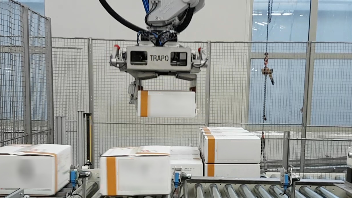 Robot gripper for boxes