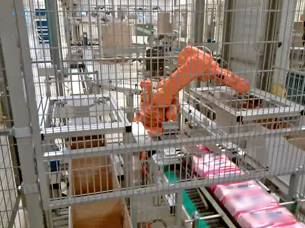Robotic Case Packer with boxes at both sides