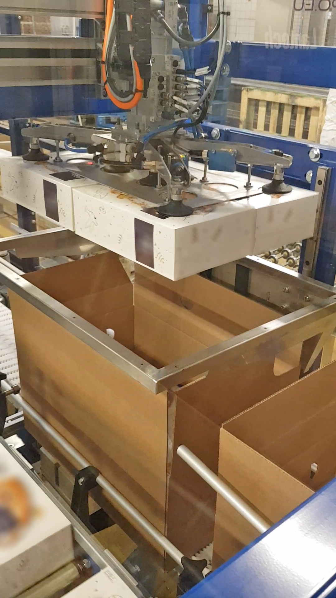 Robotic Case Packing